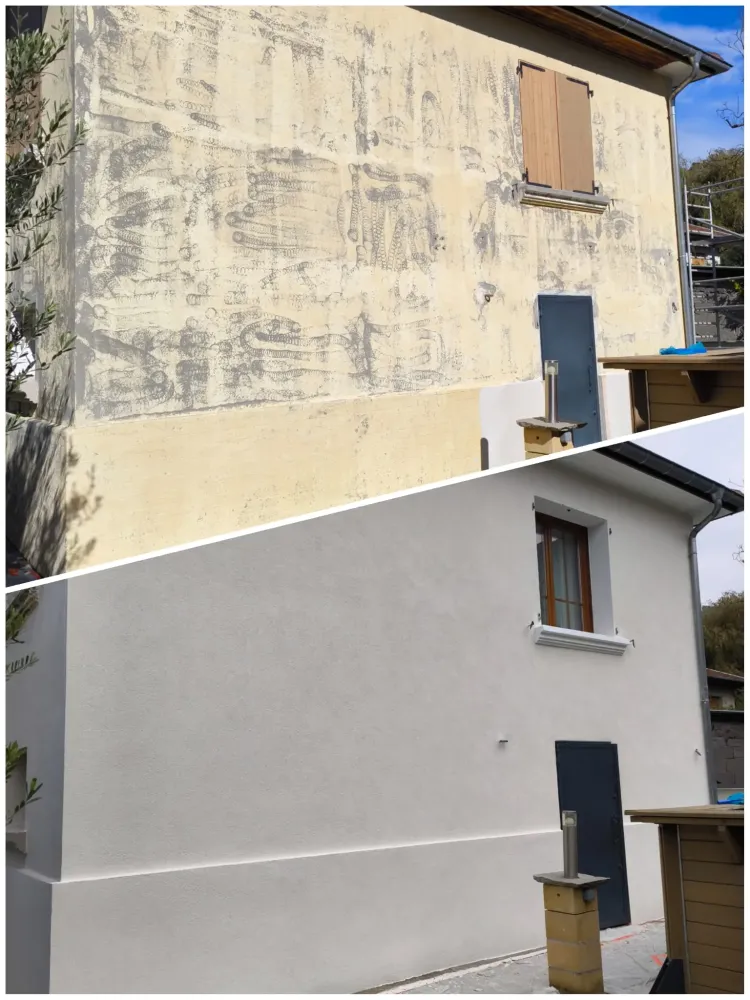 renovation de Dicat'Renov (31)