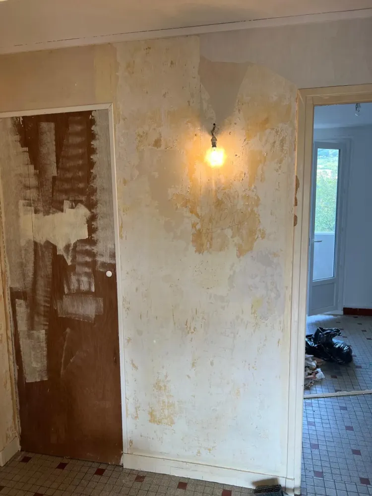 renovation de Dicat'Renov (50)